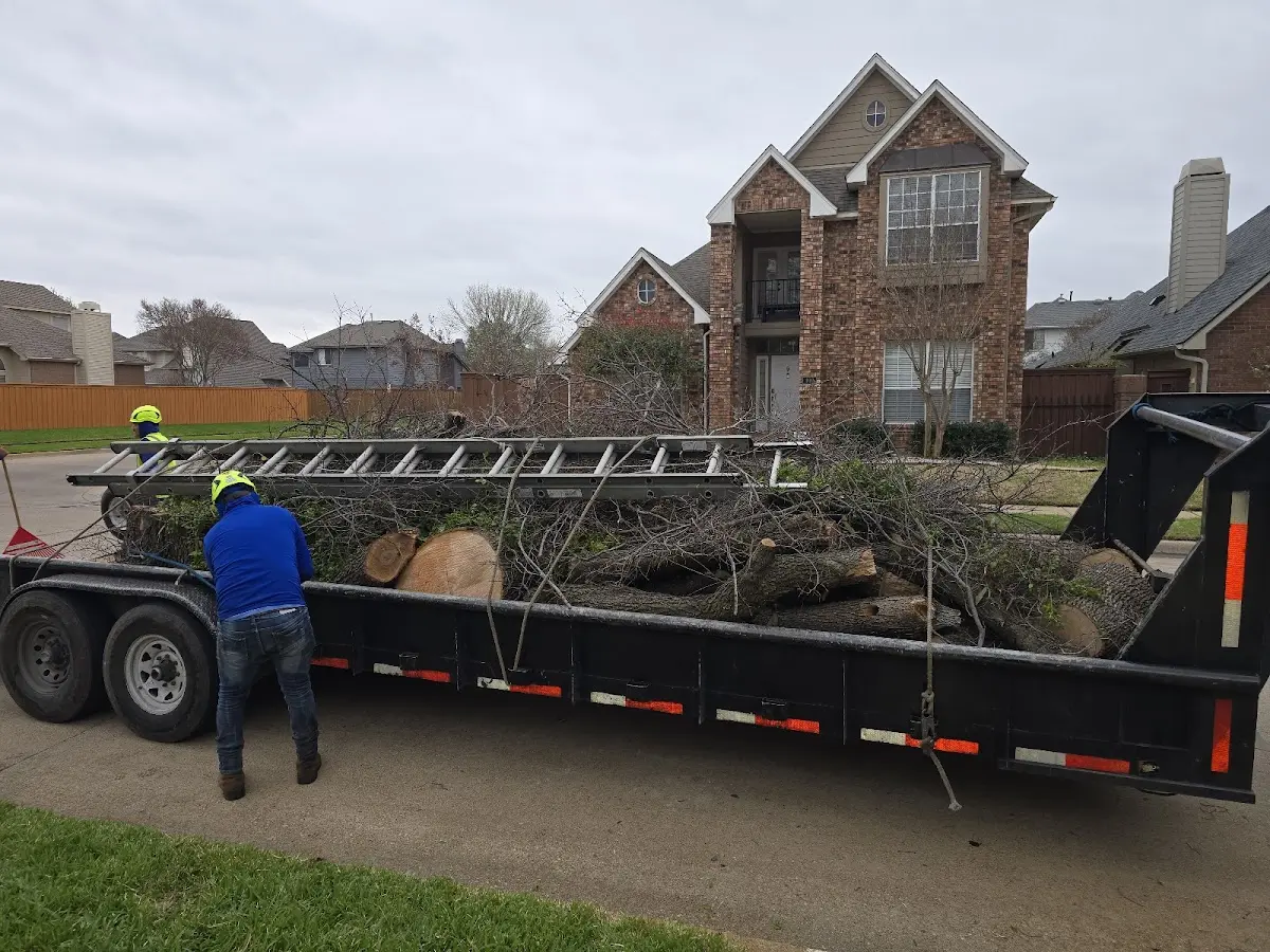 Expert Tree Fertilization with proper safety equipment in Jarvisburg